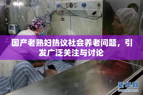 国产老熟妇热议社会养老问题，引发广泛关注与讨论