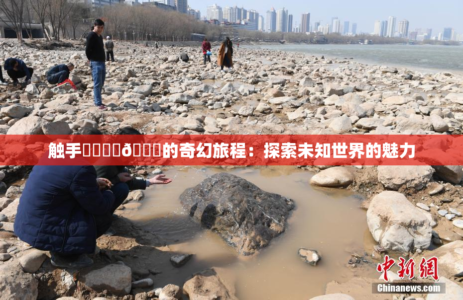 触手❌‌❌‌🔞的奇幻旅程：探索未知世界的魅力