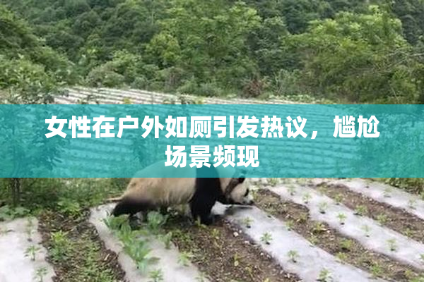 女性在户外如厕引发热议，尴尬场景频现