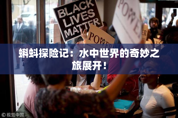蝌蚪探险记：水中世界的奇妙之旅展开！