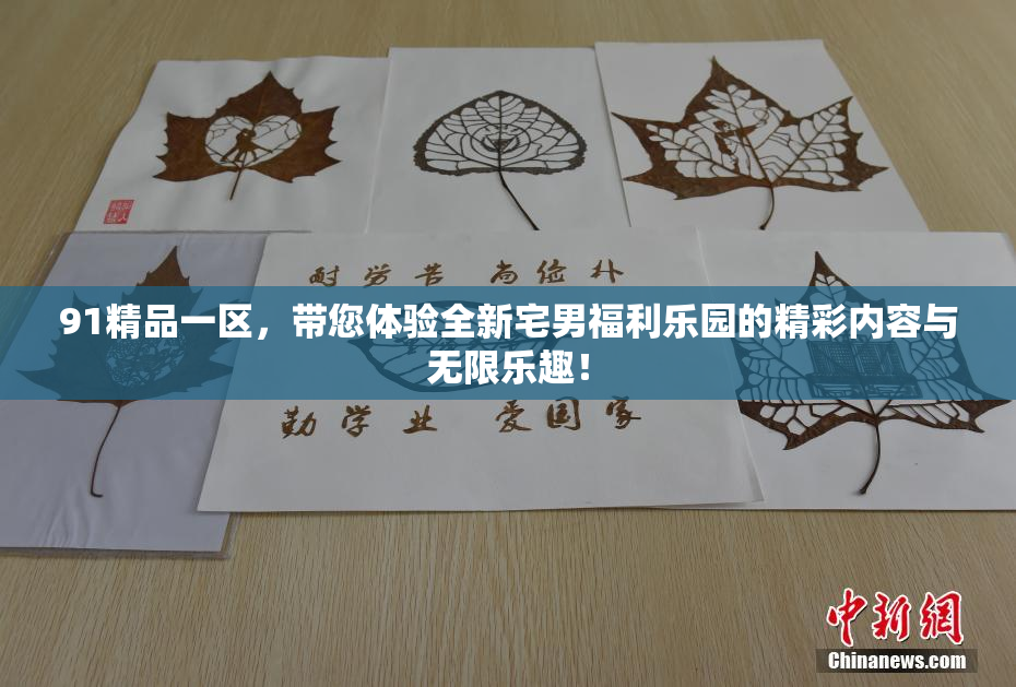 91精品一区，带您体验全新宅男福利乐园的精彩内容与无限乐趣！