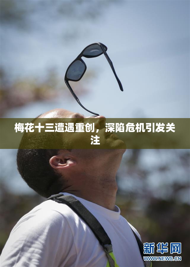 梅花十三遭遇重创，深陷危机引发关注