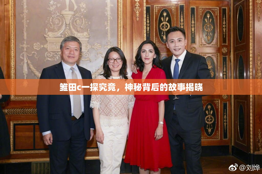 雏田c一探究竟，神秘背后的故事揭晓