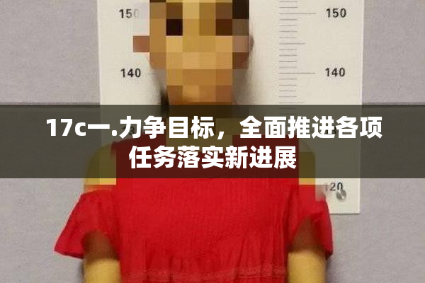 17c一.力争目标，全面推进各项任务落实新进展