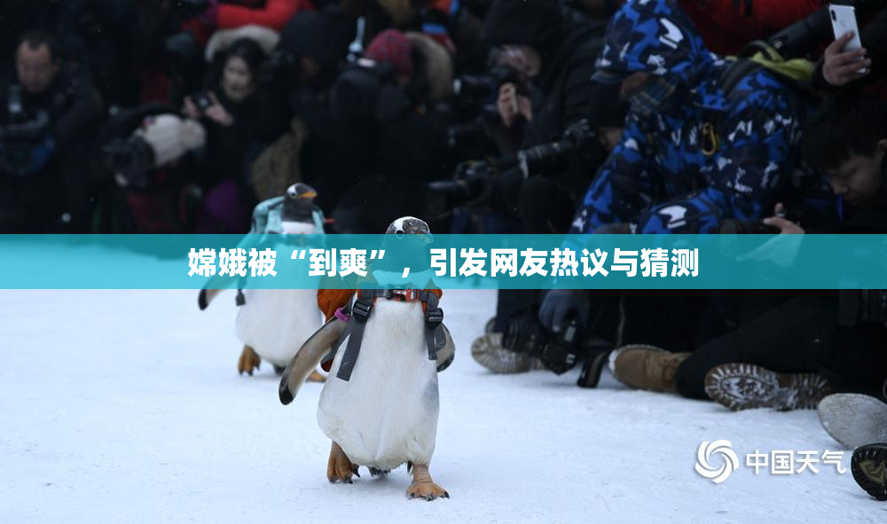 嫦娥被“到爽”，引发网友热议与猜测