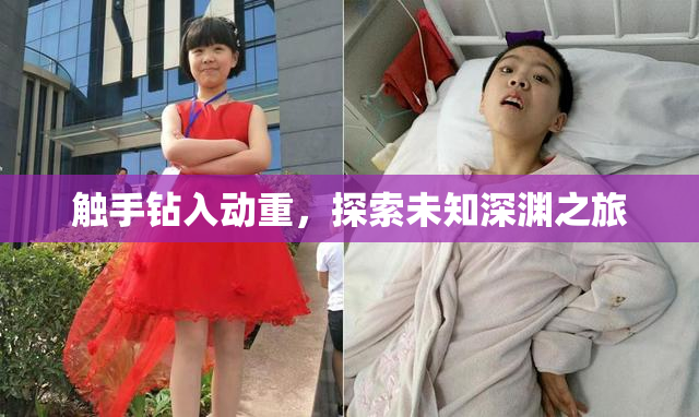 触手钻入动重，探索未知深渊之旅