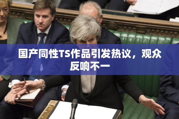 国产同性TS作品引发热议，观众反响不一