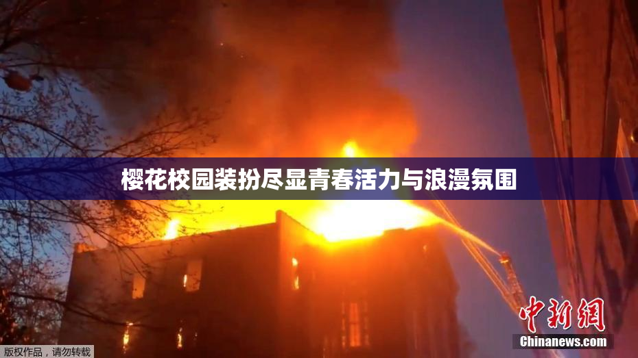 樱花校园装扮尽显青春活力与浪漫氛围
