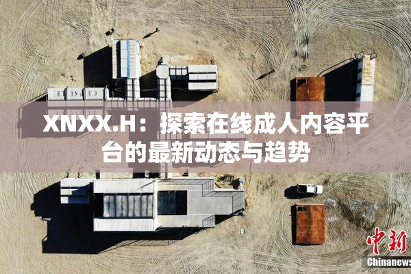 XNXX.H：探索在线成人内容平台的最新动态与趋势