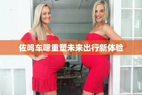 佐鸣车嗯重塑未来出行新体验