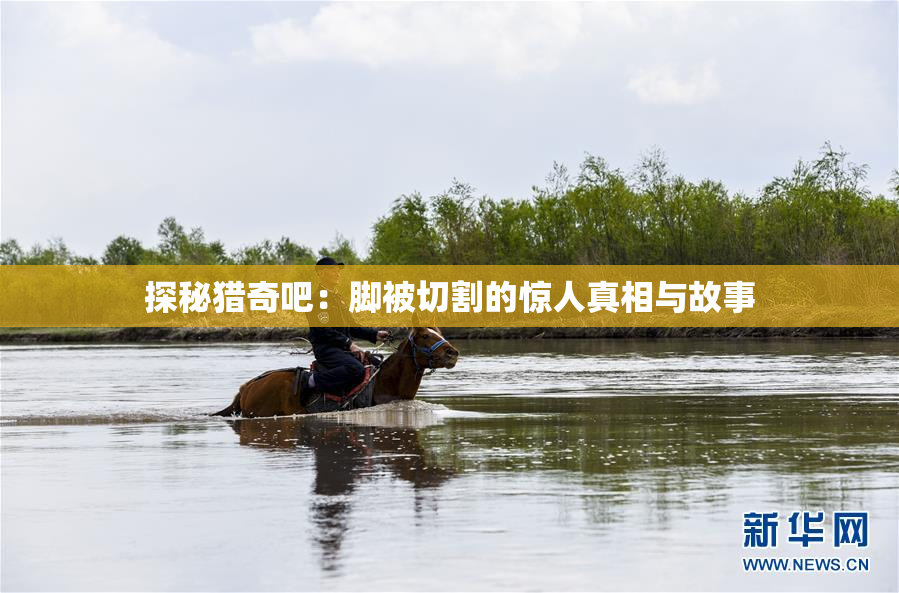 探秘猎奇吧：脚被切割的惊人真相与故事