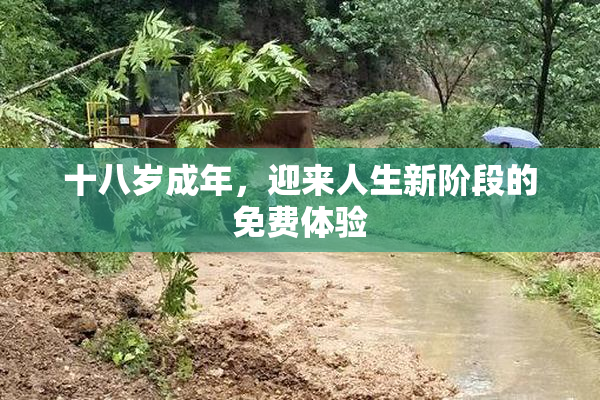 十八岁成年，迎来人生新阶段的免费体验
