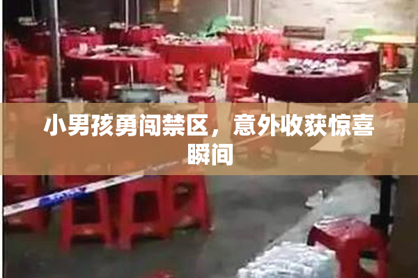 小男孩勇闯禁区，意外收获惊喜瞬间