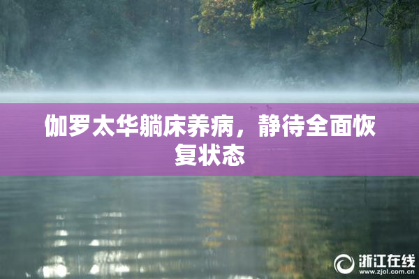 伽罗太华躺床养病，静待全面恢复状态