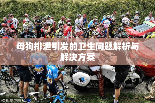母狗排泄引发的卫生问题解析与解决方案
