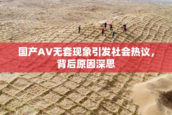 国产AV无套现象引发社会热议，背后原因深思