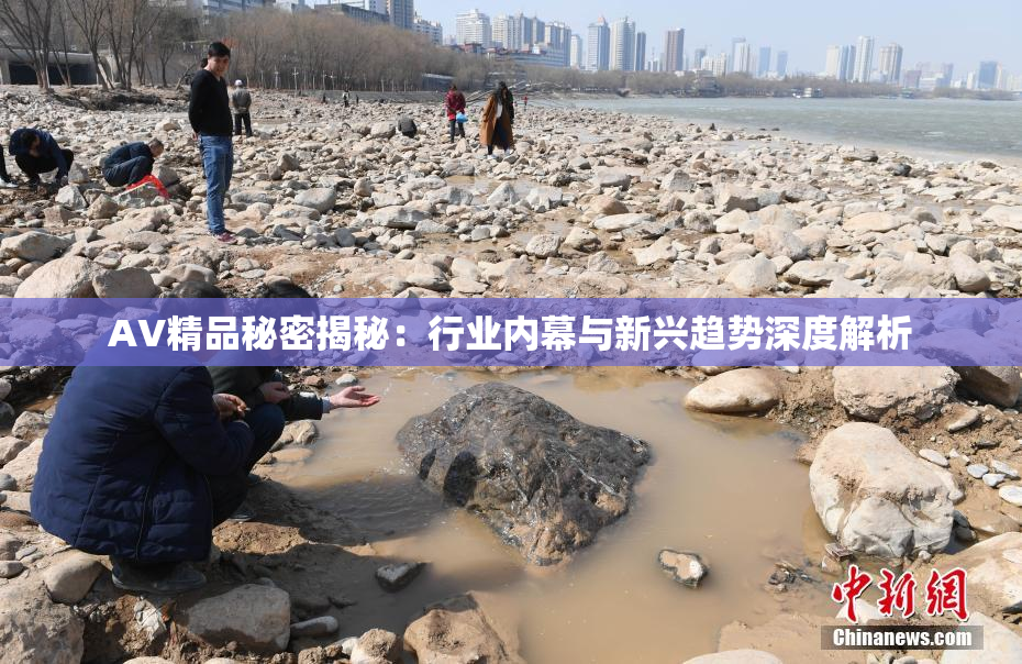 AV精品秘密揭秘：行业内幕与新兴趋势深度解析