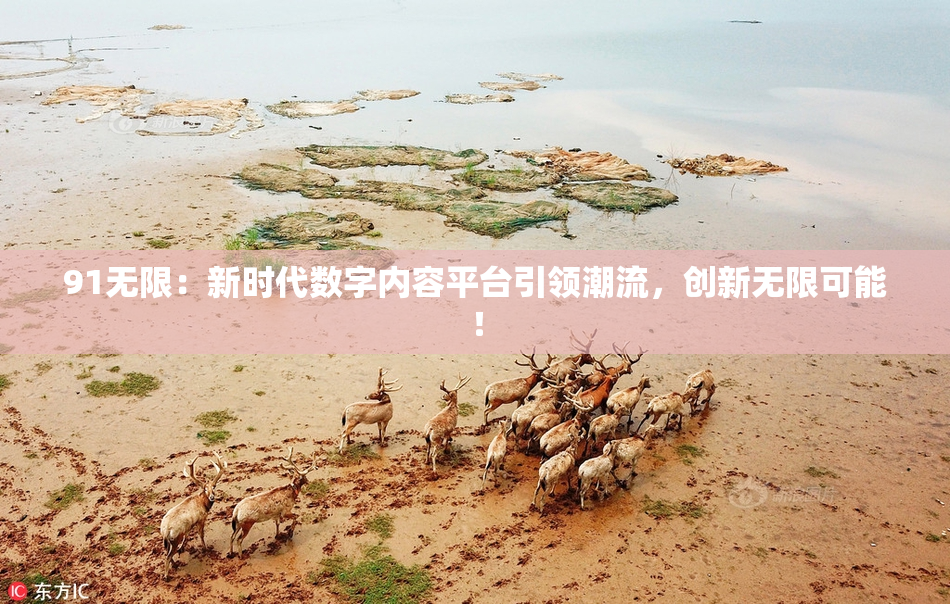 91无限：新时代数字内容平台引领潮流，创新无限可能！