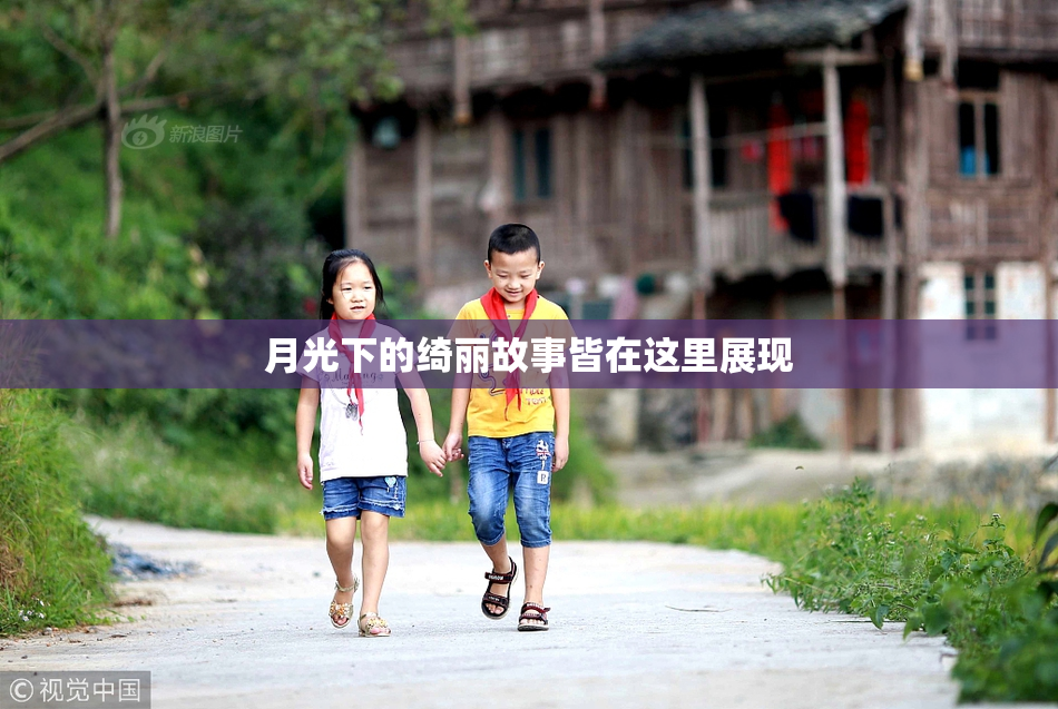 月光下的绮丽故事皆在这里展现