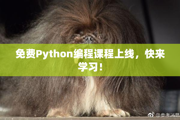 免费Python编程课程上线，快来学习！