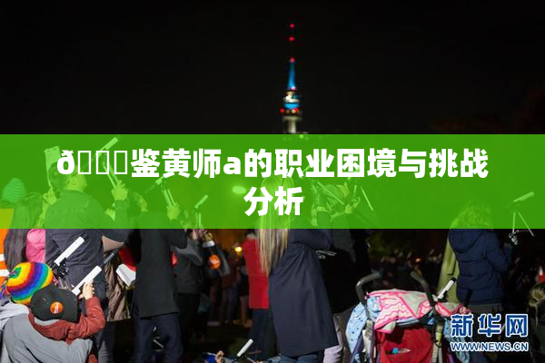 🔞鉴黄师a的职业困境与挑战分析