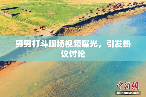 男男打斗现场视频曝光，引发热议讨论