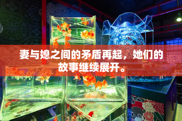 妻与媳之间的矛盾再起，她们的故事继续展开。