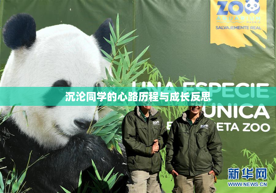 沉沦同学的心路历程与成长反思