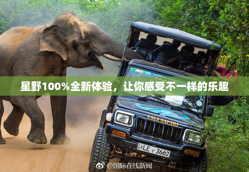 星野100%全新体验，让你感受不一样的乐趣