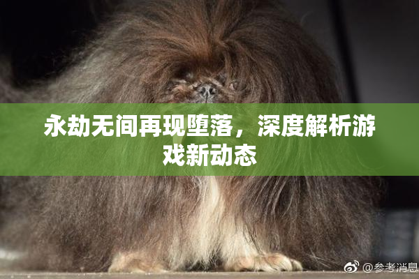 永劫无间再现堕落，深度解析游戏新动态