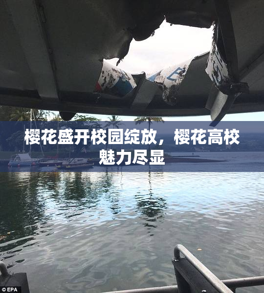 樱花盛开校园绽放，樱花高校魅力尽显