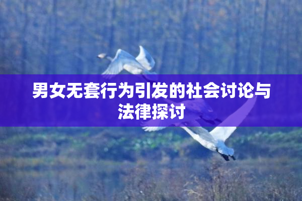 男女无套行为引发的社会讨论与法律探讨