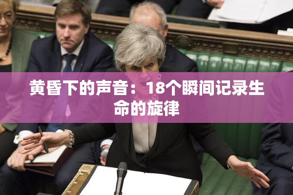 黄昏下的声音：18个瞬间记录生命的旋律