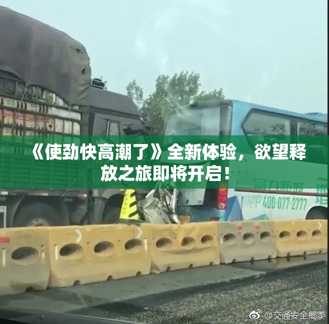 《使劲快高潮了》全新体验，欲望释放之旅即将开启！