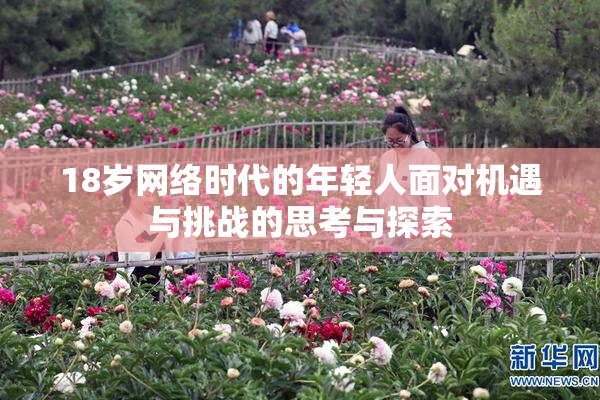 18岁网络时代的年轻人面对机遇与挑战的思考与探索
