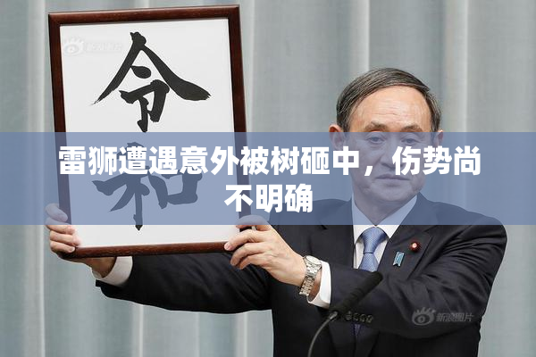 雷狮遭遇意外被树砸中，伤势尚不明确