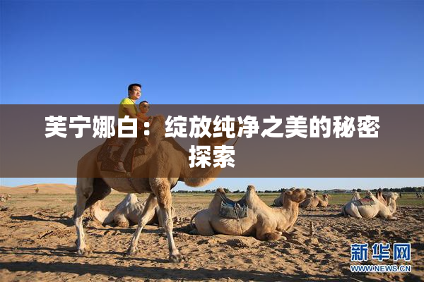 芙宁娜白：绽放纯净之美的秘密探索