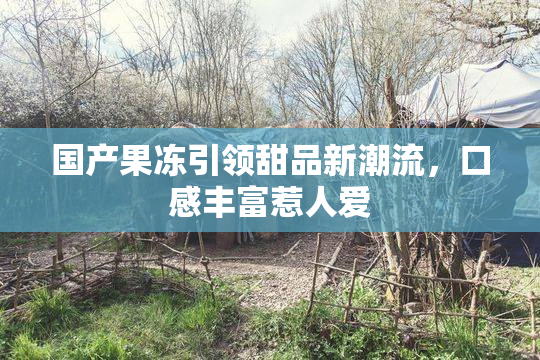 国产果冻引领甜品新潮流，口感丰富惹人爱