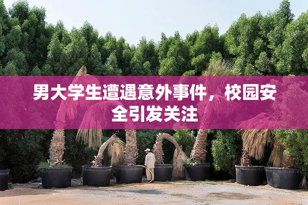 男大学生遭遇意外事件，校园安全引发关注