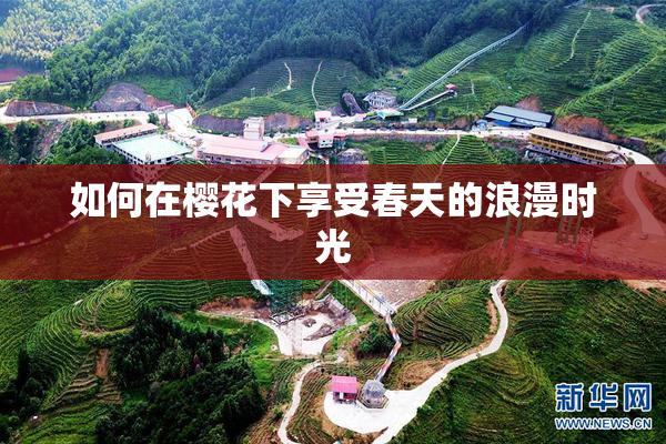 如何在樱花下享受春天的浪漫时光