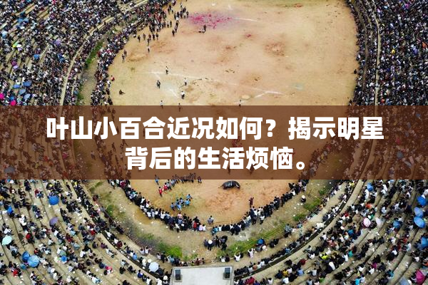叶山小百合近况如何？揭示明星背后的生活烦恼。