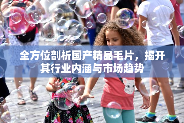 全方位剖析国产精品毛片，揭开其行业内涵与市场趋势