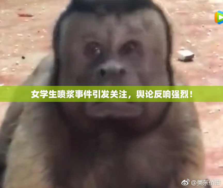 女学生喷浆事件引发关注，舆论反响强烈！