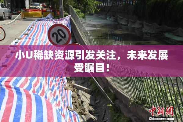 小U稀缺资源引发关注，未来发展受瞩目！