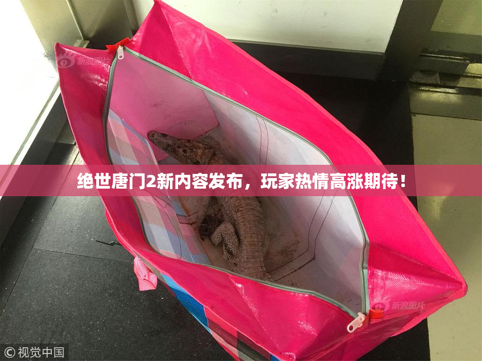 绝世唐门2新内容发布，玩家热情高涨期待！
