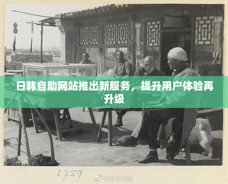 日韩自助网站推出新服务，提升用户体验再升级