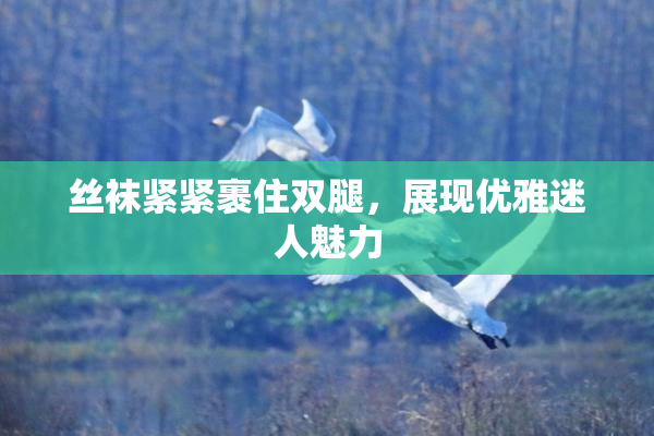 丝袜紧紧裹住双腿，展现优雅迷人魅力