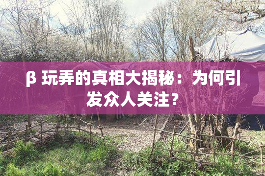 β 玩弄的真相大揭秘：为何引发众人关注？