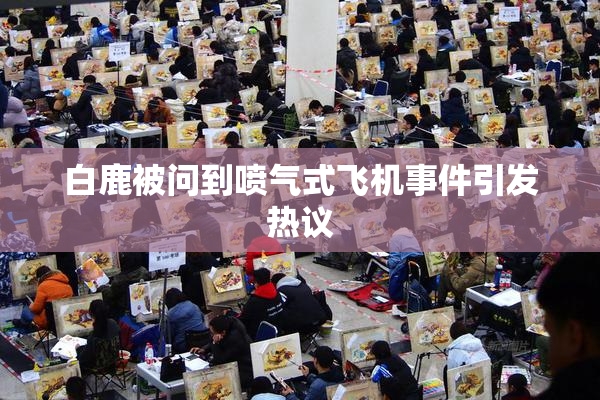白鹿被问到喷气式飞机事件引发热议
