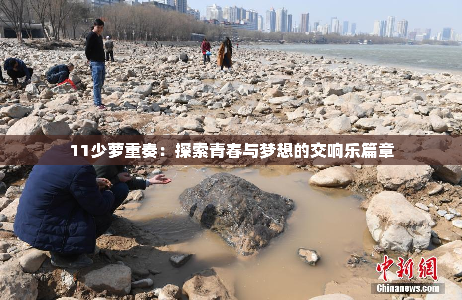11少萝重奏：探索青春与梦想的交响乐篇章